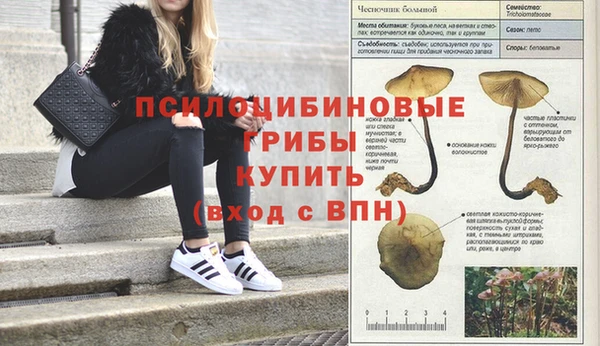 соль курить ск Абаза