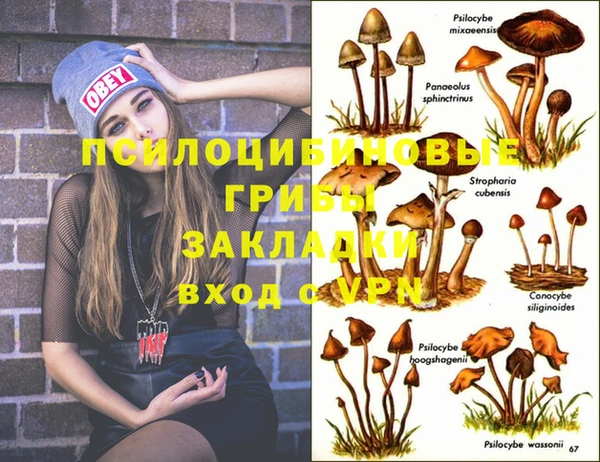 МДМА Абдулино