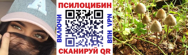 продажа наркотиков Донской Галлюциногенные грибы Psilocybine cubensis