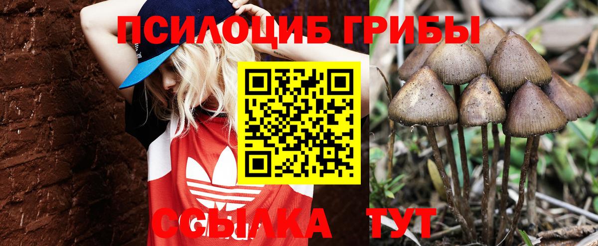 цена   Галлюциногенные грибы GOLDEN TEACHER  Вход с VPN  Донской 